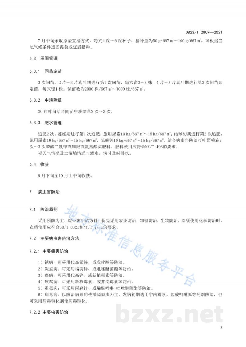 DB23/T 2809-2021菜豆复种秋白菜生产技术规程