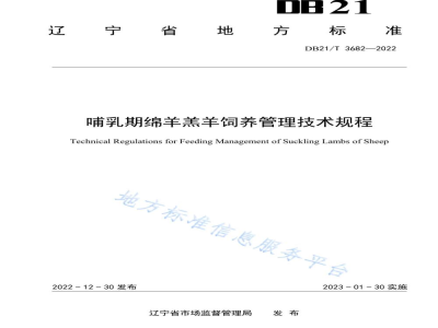 DB21/T 3682-2022哺乳期绵羊羔羊饲养管理技术规程