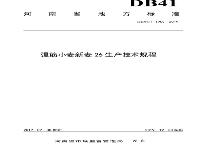 DB41/T 1909-2019强筋小麦新麦26生产技术规程