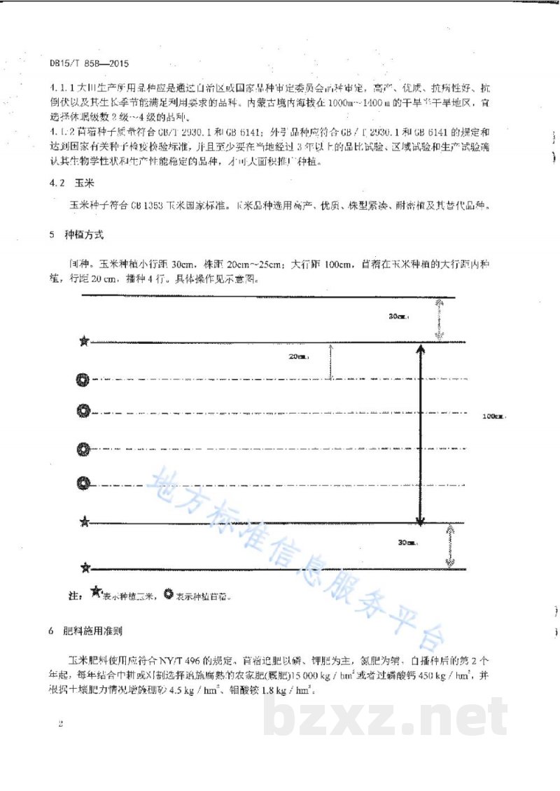 DB15/T 858-2015干旱区苜蓿间种玉米草地建植技术规程