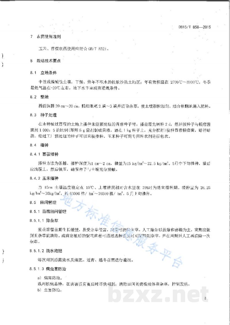 DB15/T 858-2015干旱区苜蓿间种玉米草地建植技术规程