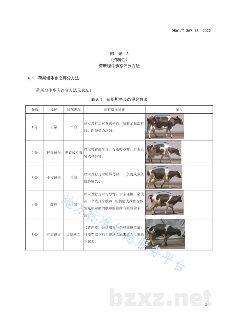 DB61/T 367.16-2022荷斯坦牛生产技术规范 第16部分：肢蹄病防治