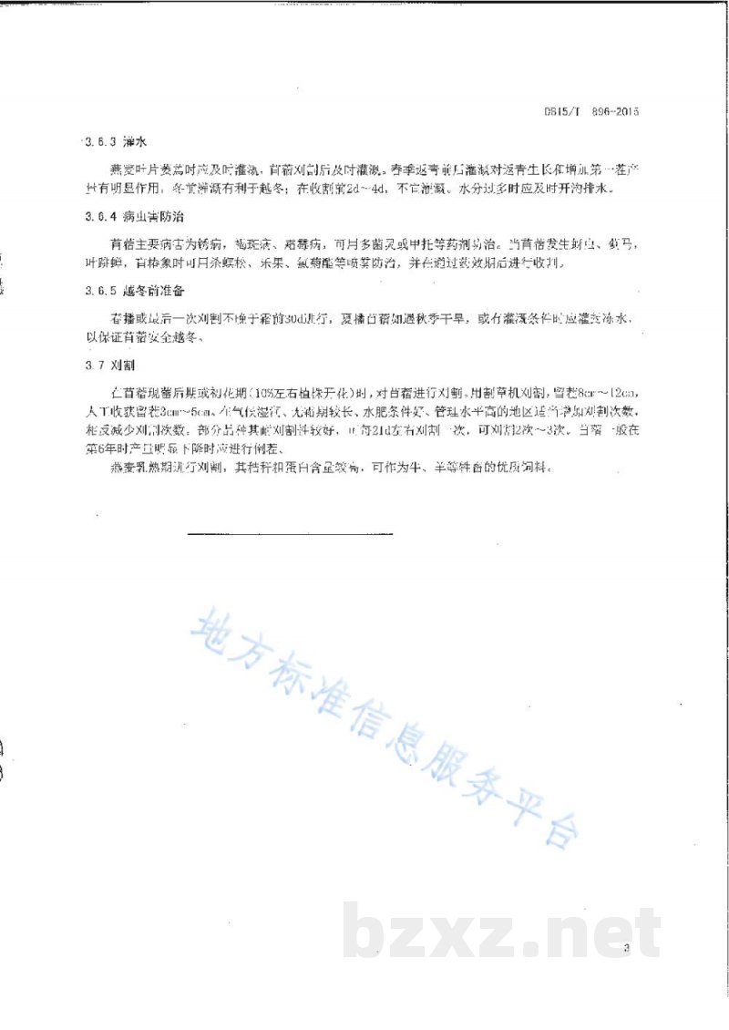 DB15/T 896-2015饲用燕麦与苜蓿间作栽培技术规程