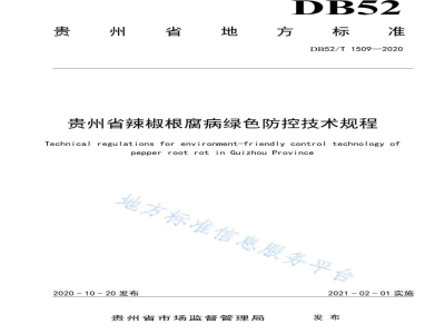 DB52/T 1509-2020辣椒根腐病绿色防控技术规程