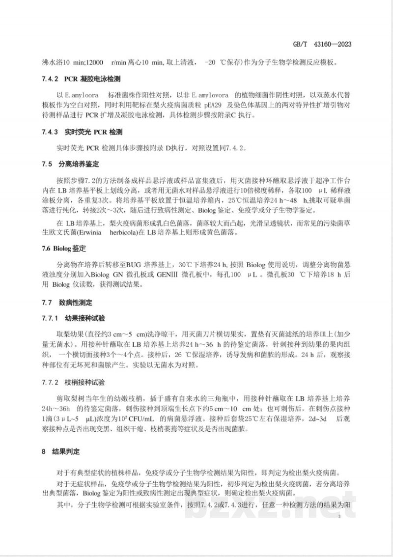GB/T 43160-2023梨火疫病菌检疫鉴定方法 
