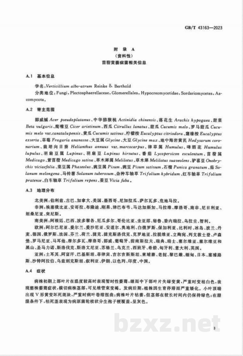 GB/T 43163-2023苜蓿黄萎病菌溯源检测方法 