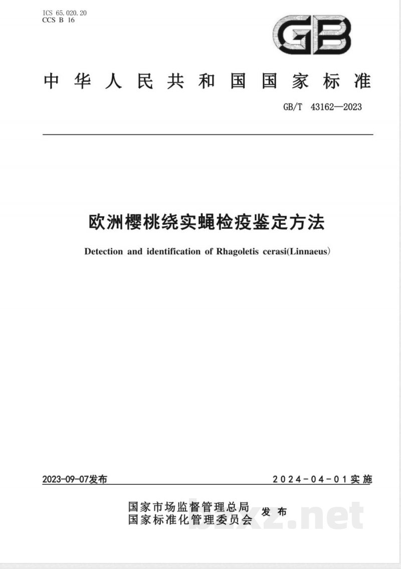 GB/T 43162-2023欧洲樱桃绕实蝇检疫鉴定方法 