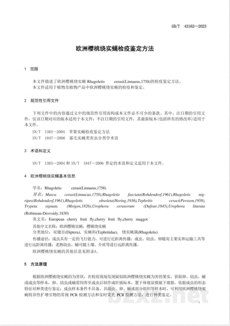 GB/T 43162-2023欧洲樱桃绕实蝇检疫鉴定方法 