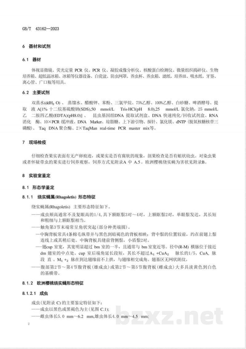 GB/T 43162-2023欧洲樱桃绕实蝇检疫鉴定方法 