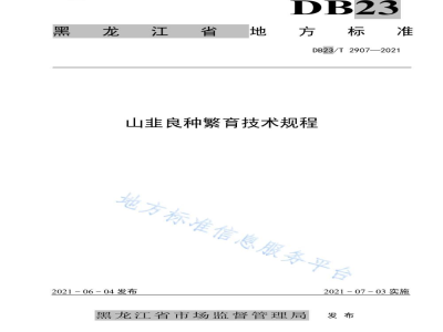 DB23/T 2907-2021山韭良种繁育技术规程