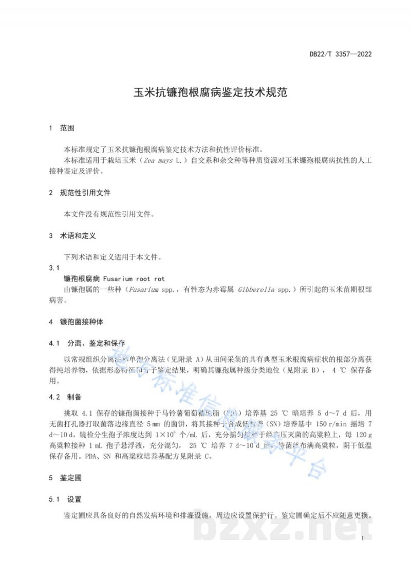 DB22/T 3357-2022玉米抗镰孢菌根腐病鉴定技术规程
