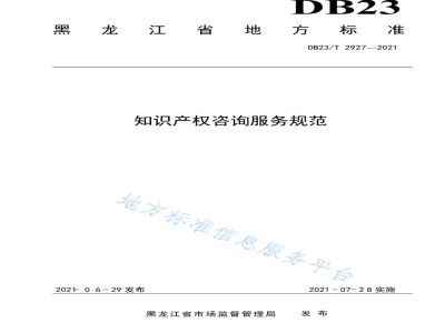 DB23/T 2927-2021知识产权咨询服务规范