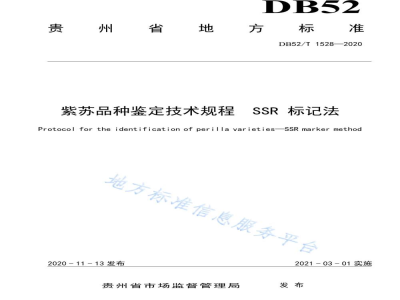 DB52/T 1528-2020紫苏品种鉴定技术规程SSR标记法