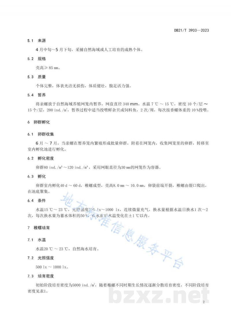 DB21/T 3903-2023香螺苗种繁育技术规范