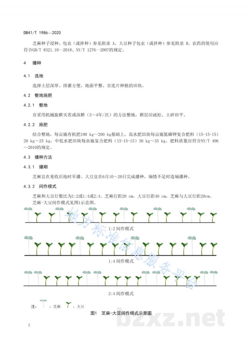 DB41/T 1986-2020芝麻-大豆间作种植技术规程