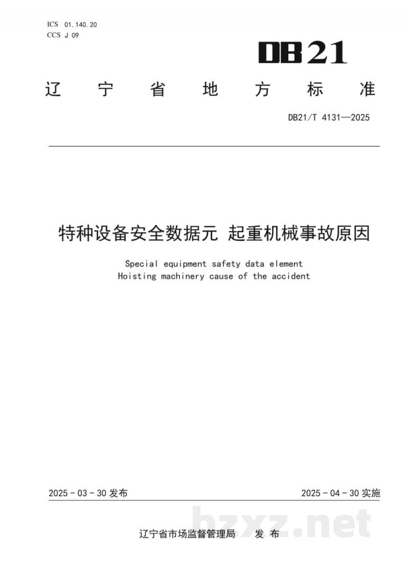 DB21/T 4131-2025特种设备安全数据元 起重机械事故原因