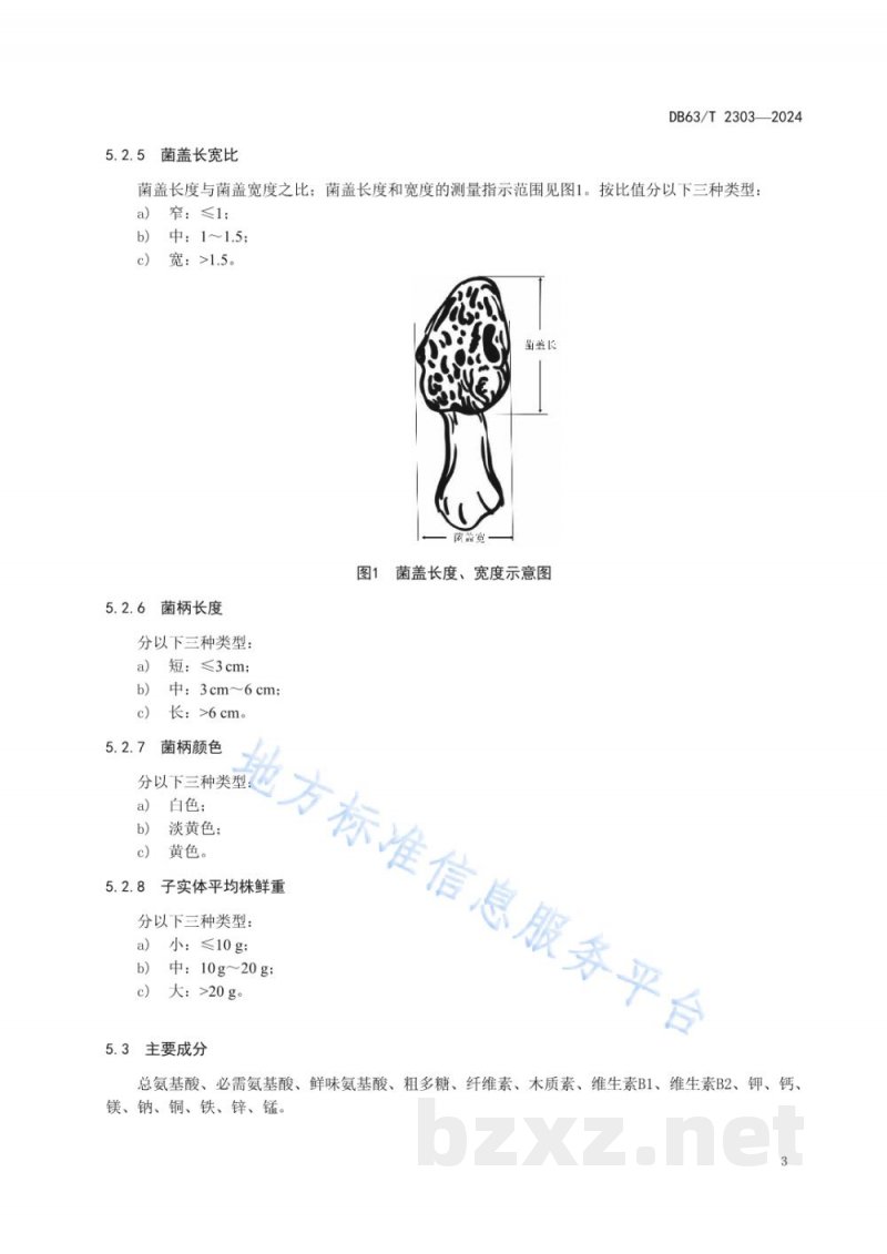 DB63/T 2303-2024羊肚菌品种标准