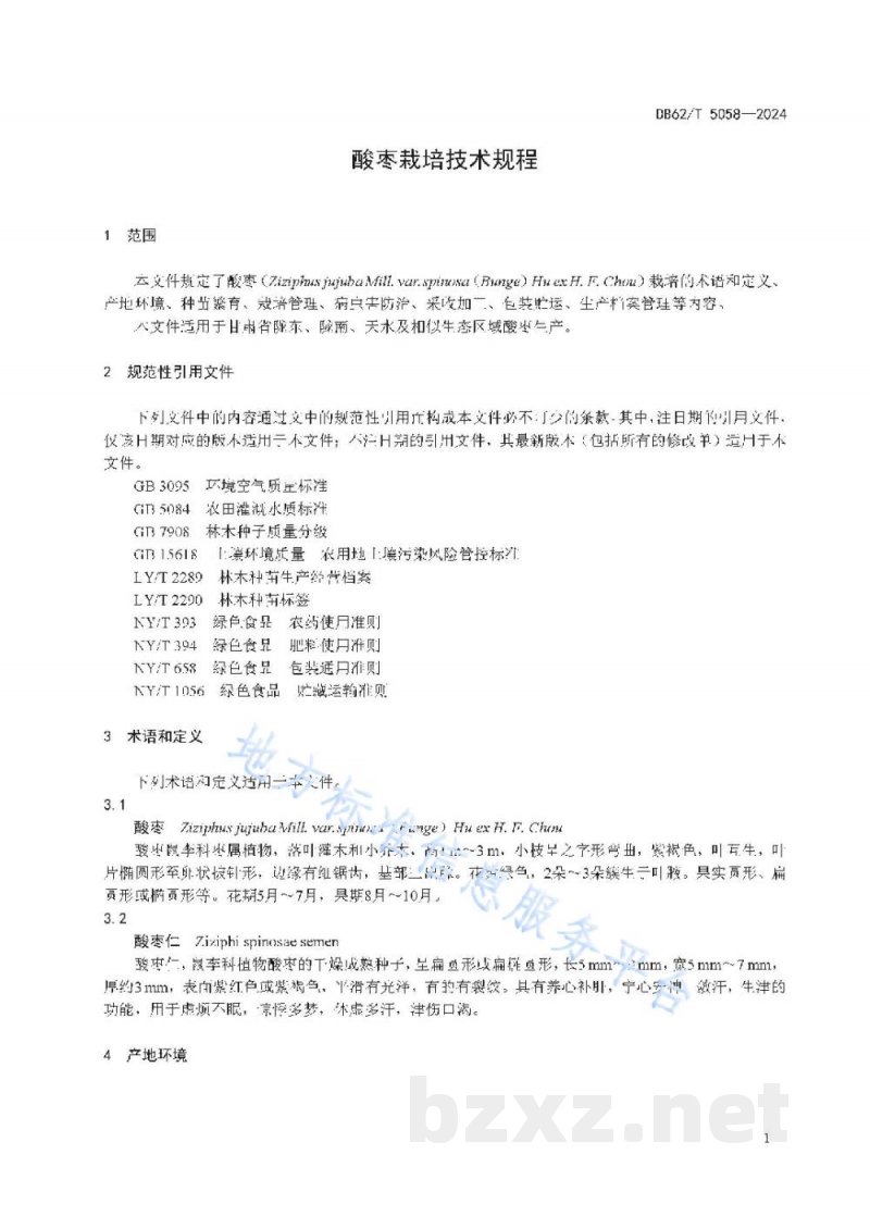 DB62/T 5058-2024酸枣栽培技术规程