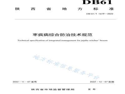 DB61/T 1619-2022枣疯病综合防治技术规范