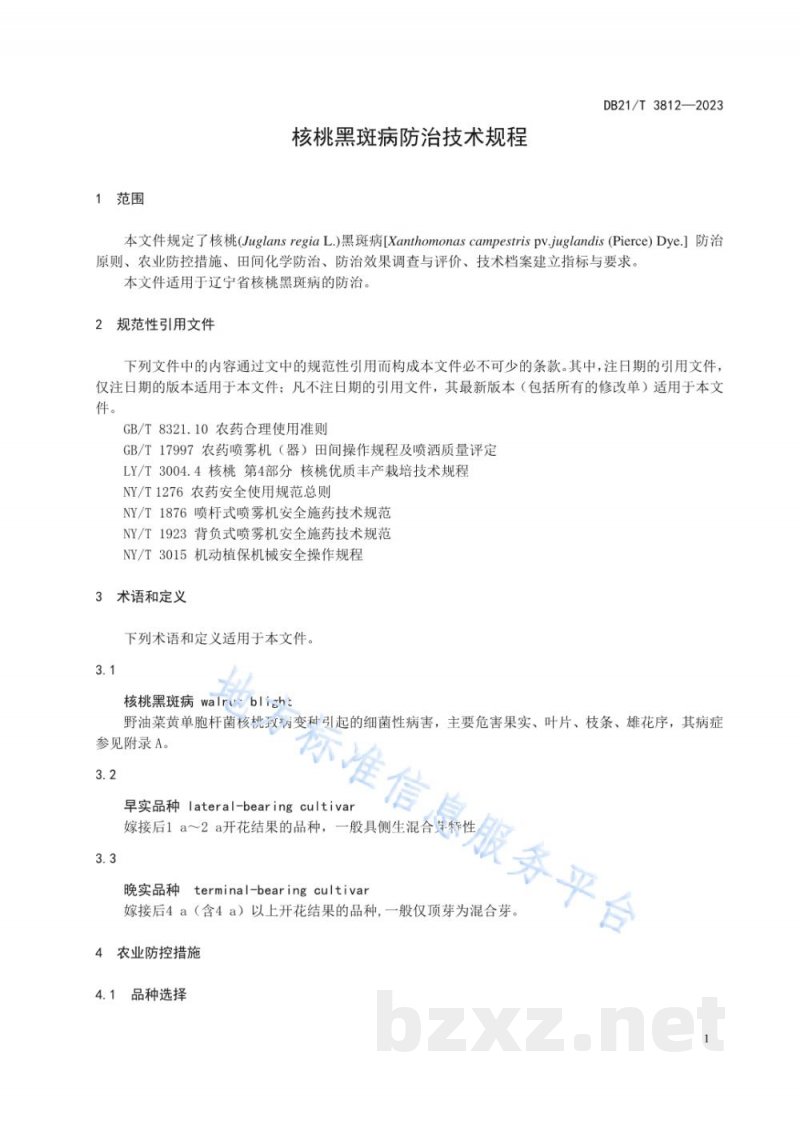 DB21/T 3812-2023核桃黑斑病防治技术规程