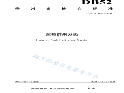 DB52/T 1621-2021蓝莓鲜果分级