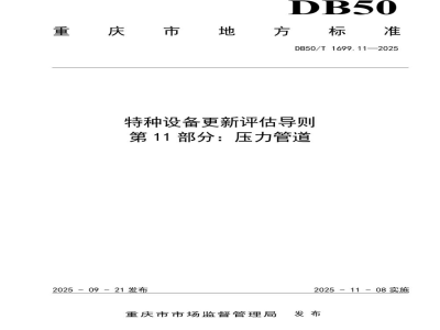 DB50/T 1699.11-2025特种设备更新评估导则 第11部分：压力管道