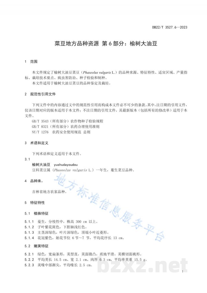 DB22/T 3527.6-2023菜豆地方品种资源 第6部分：榆树大油豆
