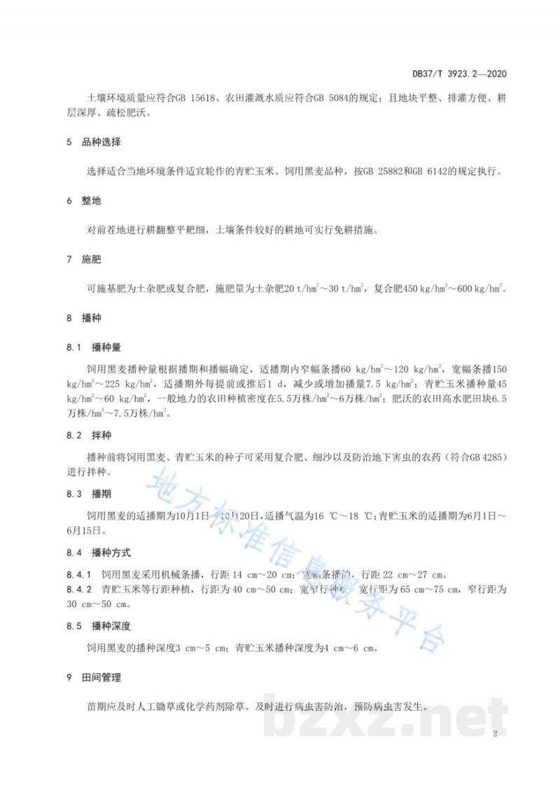 DB37/T 3923.2-2020饲料作物高产栽培与田间收获技术规程 第2部分：青贮玉米与饲用黑麦轮作技术规程