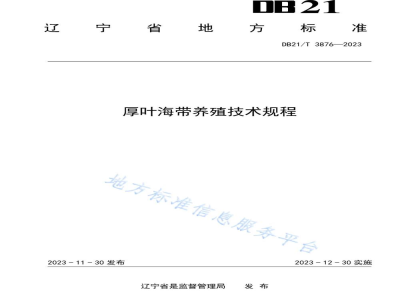 DB21/T 3876-2023厚叶海带养殖技术规程