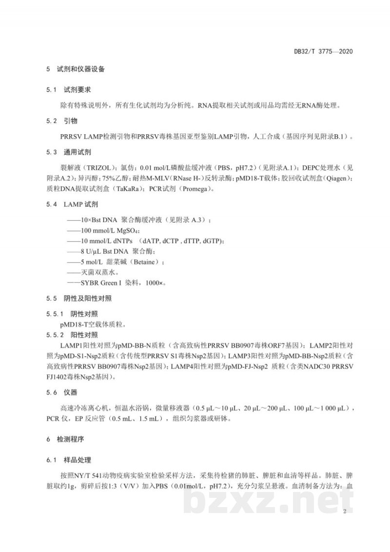 DB32/T 3775-2020猪繁殖与呼吸综合征病毒RT-LAMP检测方法