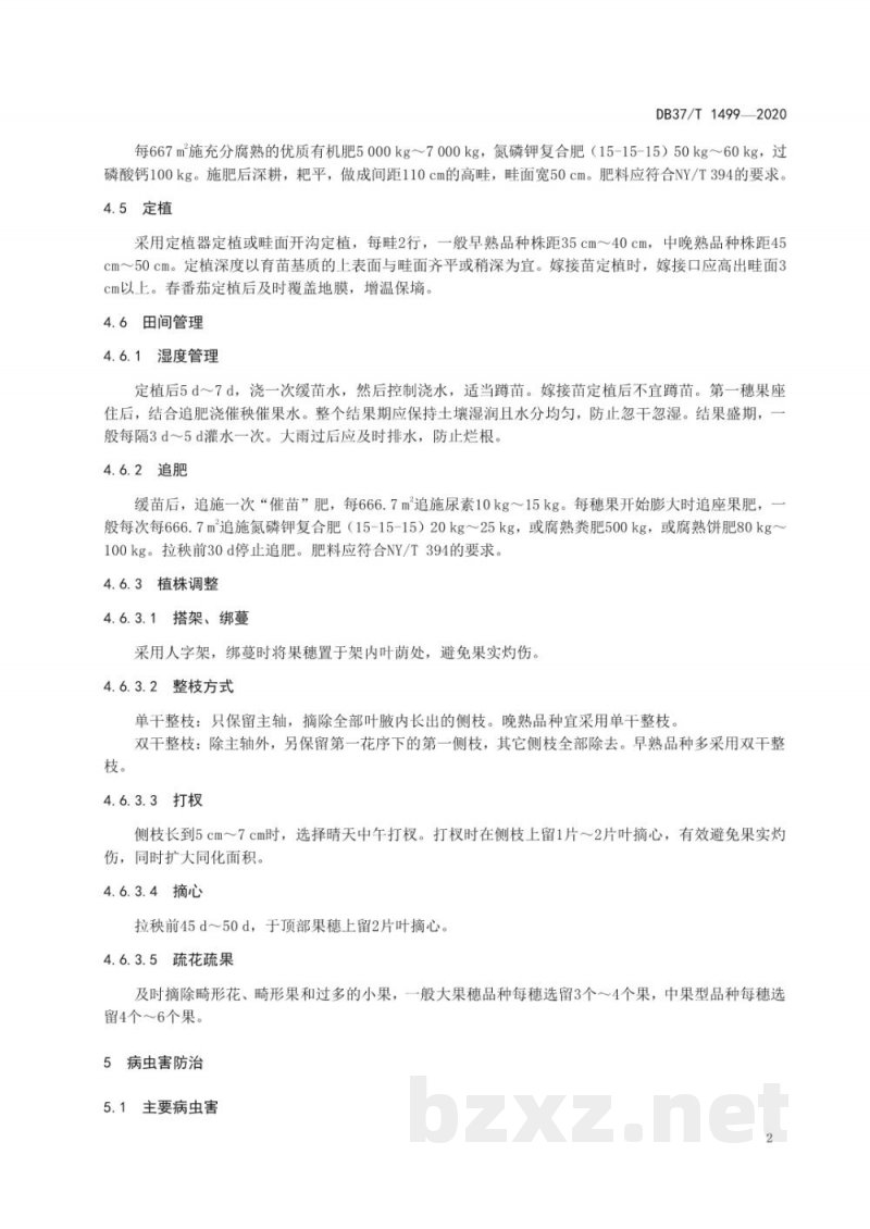 DB37/T 1499-2020绿色食品 露地番茄生产技术规程