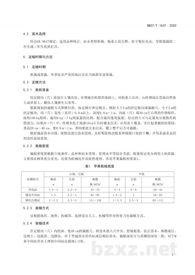 DB37/T 1637-2020新建苹果园技术规程