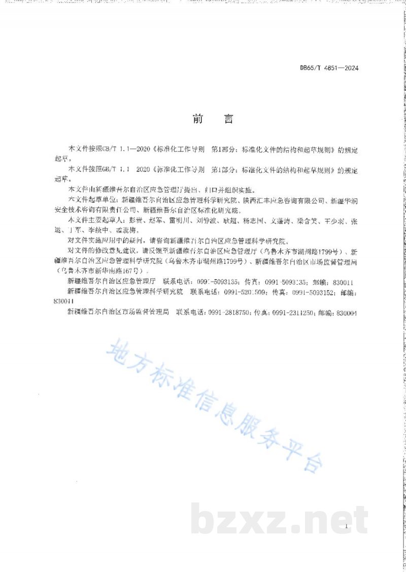 DB65/T 4851-2024化工行业企业重大安全风险认定