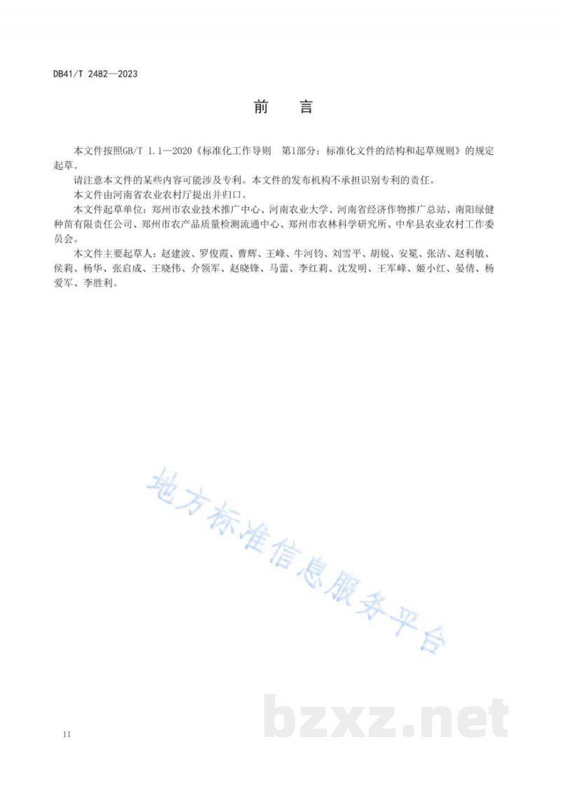 DB41/T 2482-2023洋葱集约化穴盘育苗技术规程