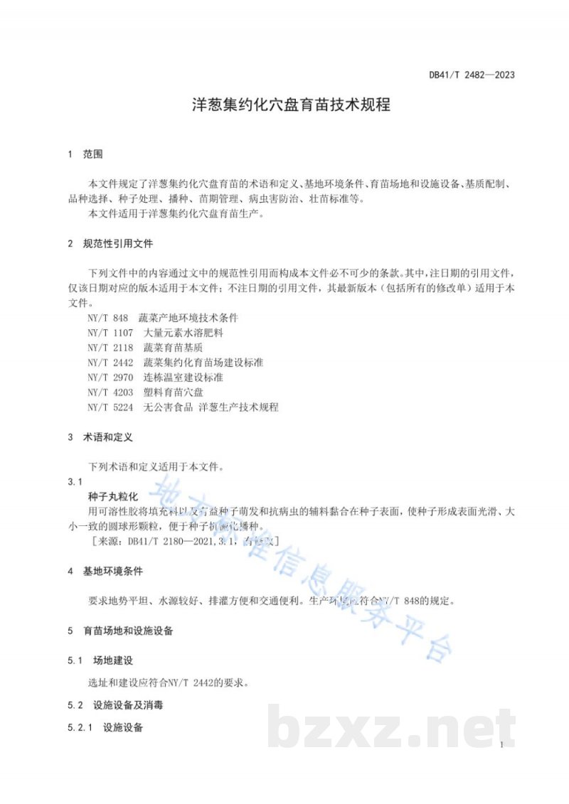 DB41/T 2482-2023洋葱集约化穴盘育苗技术规程