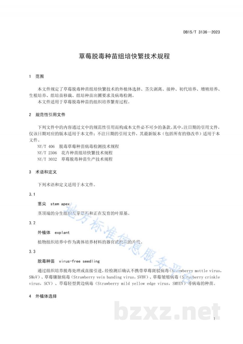 DB15/T 3136-2023草莓脱毒种苗组培快繁技术规程