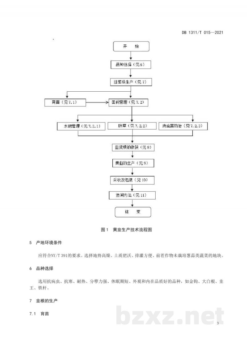 DB1311/T 015-2021绿色食品黄韭生产技术规程