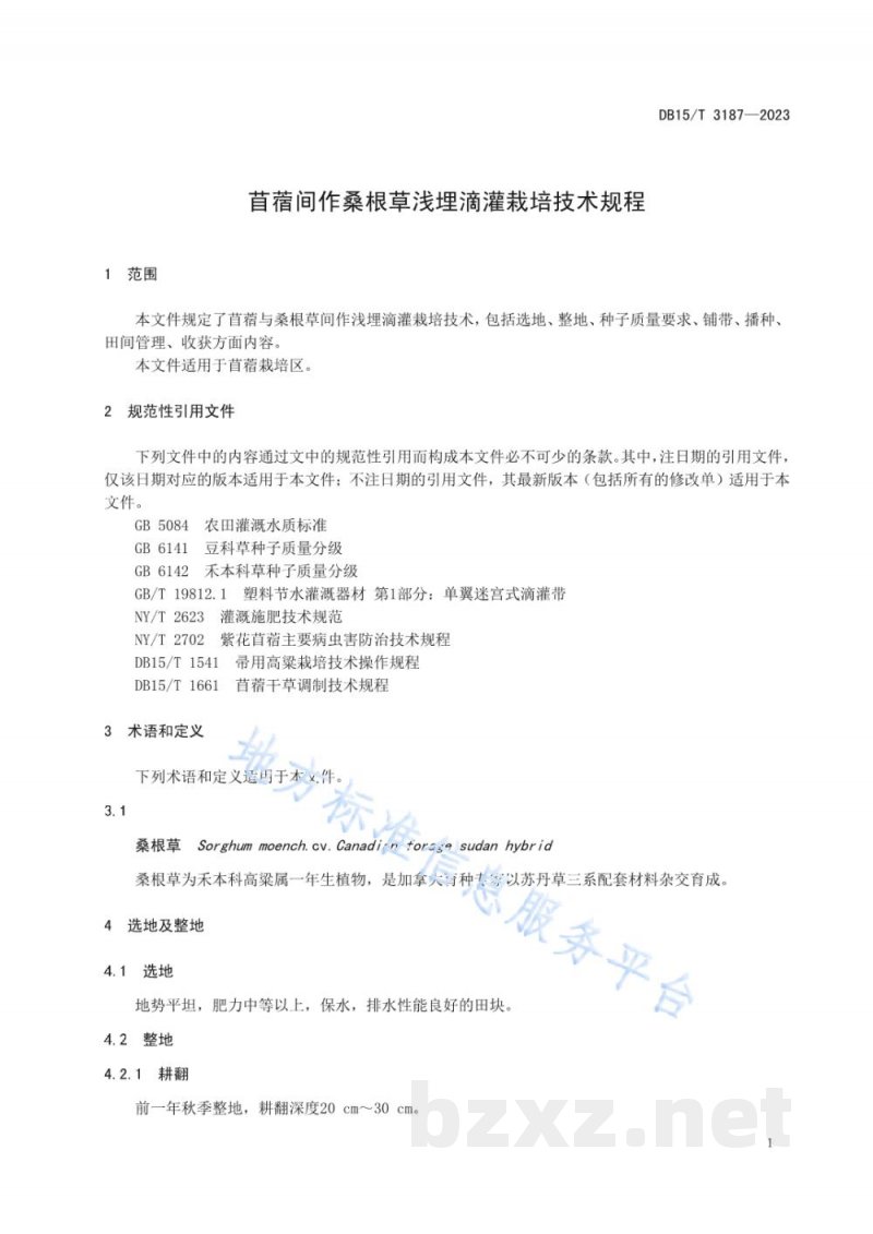 DB15/T 3187-2023苜蓿间作桑根草浅埋滴灌栽培技术规程
