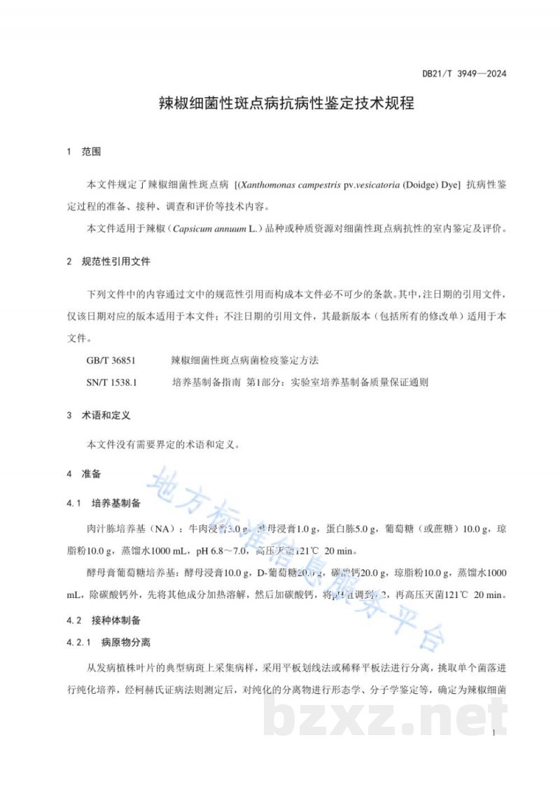 DB21/T 3949-2024辣椒细菌性斑点病抗病性鉴定技术规程