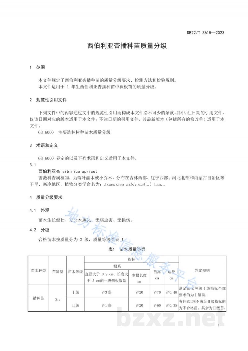 DB22/T 3615-2023西伯利亚杏播种苗质量分级