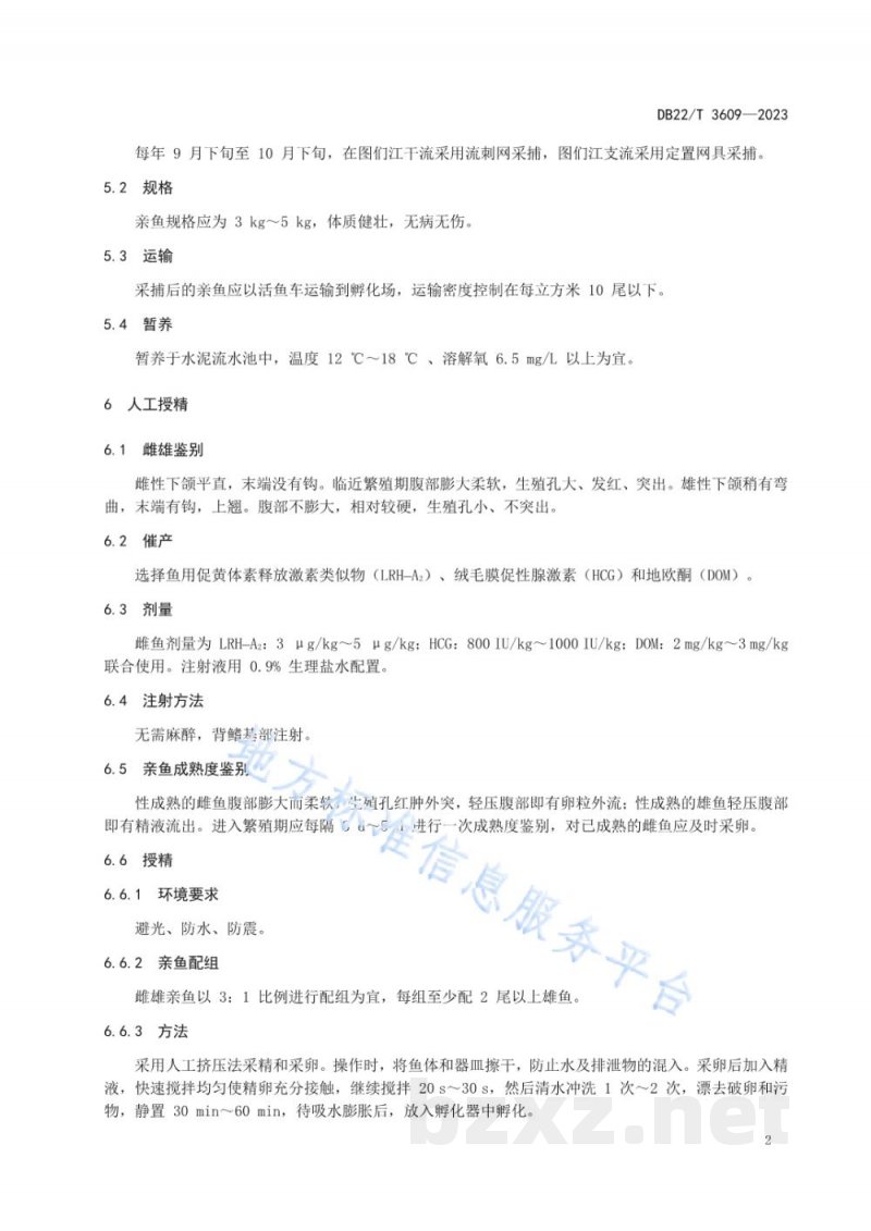 DB22/T 3609-2023大麻哈鱼人工繁殖技术规范