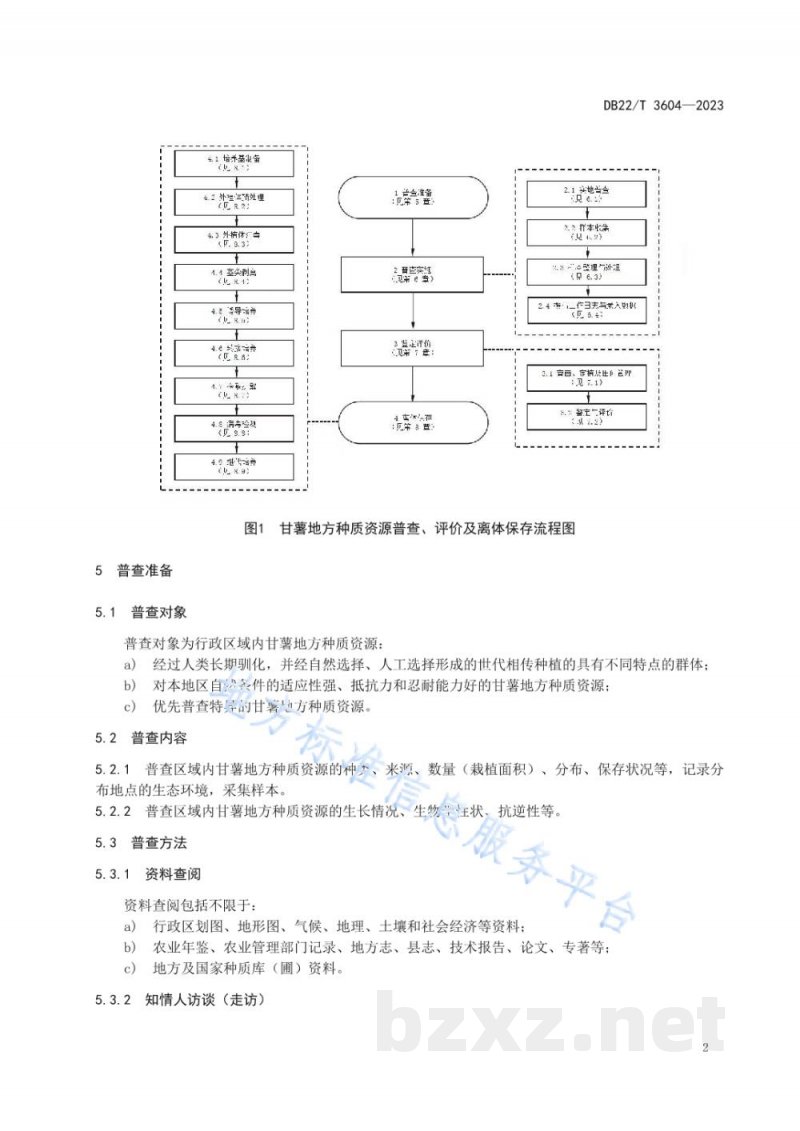DB22/T 3604-2023甘薯地方种质资源普查、评价及离体保存技术规程
