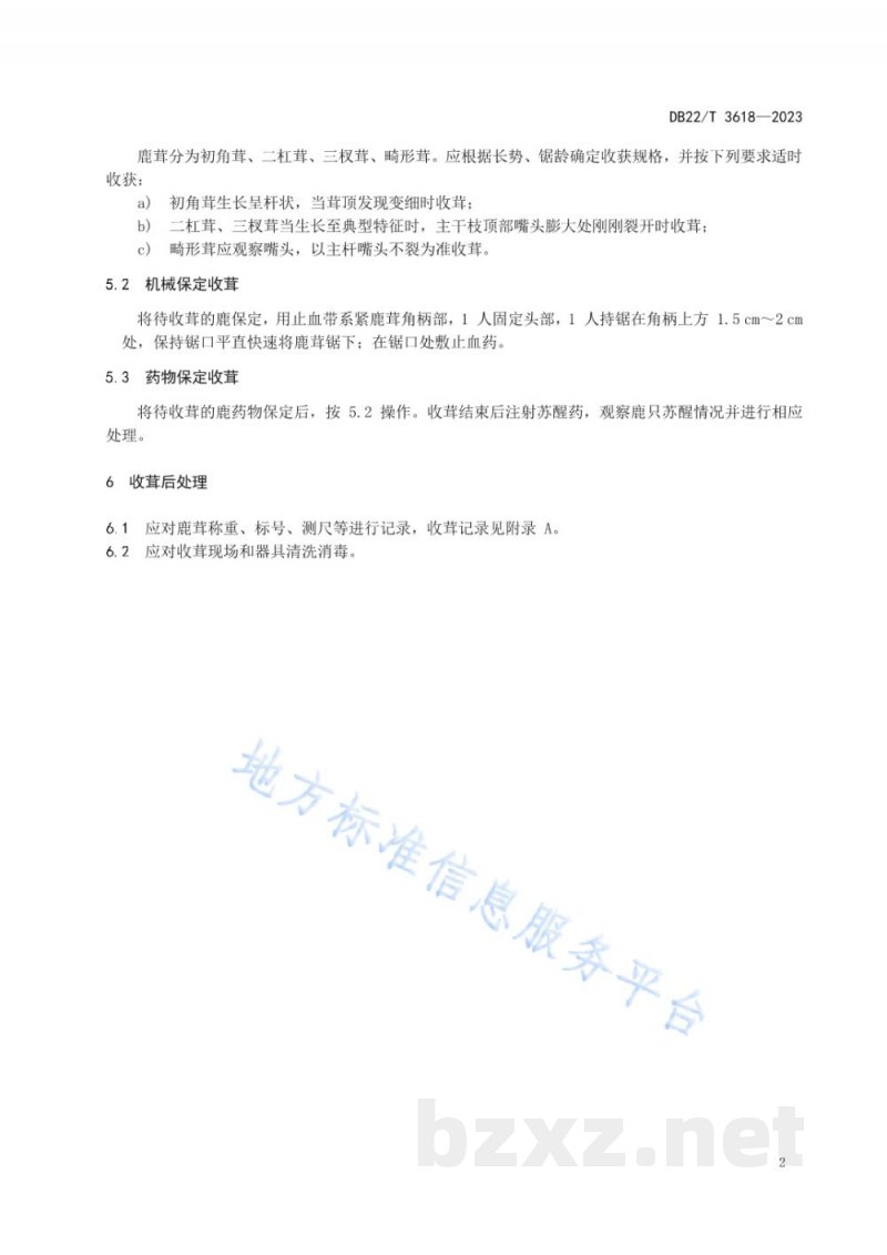 DB22/T 3618-2023梅花鹿鹿茸收获技术规范
