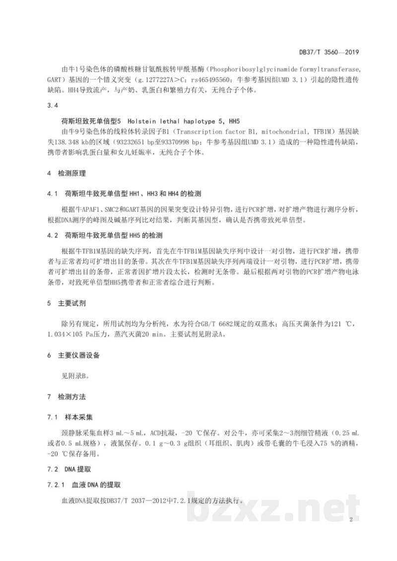 DB37/T 3560-2019荷斯坦牛致死单倍型（HH1、HH3、HH4和HH5）基因检测技术规程