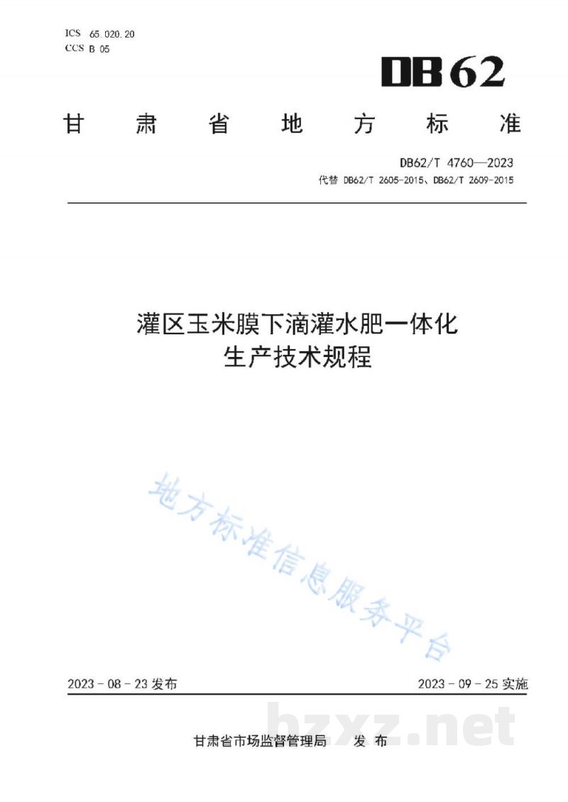 DB62/T 4760-2023灌区玉米膜下滴灌水肥一体化生产技术规程