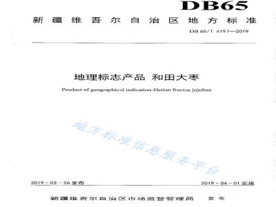 DB65/T 4197-2019地理标志产品 和田大枣