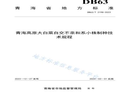 DB63/T 2198-2023青海高原大白菜自交不亲和系小株制种技术规程