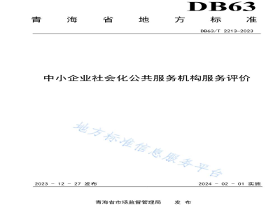 DB63/T 2213-2023中小企业社会化公共服务机构服务评价
