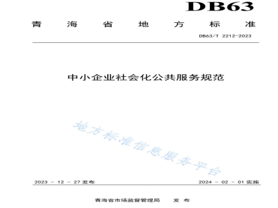 DB63/T 2212-2023中小企业社会化公共服务规范