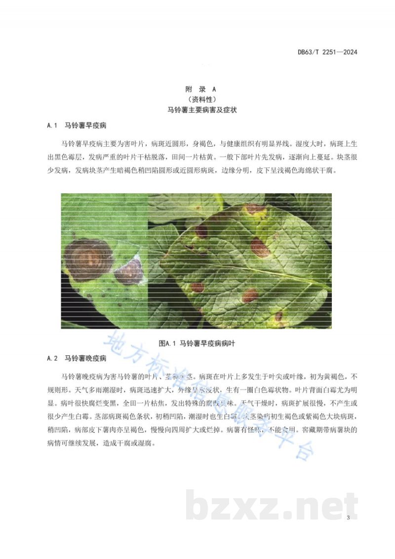 DB63/T 2251-2024高寒地区马铃薯主要病害农药减量增效技术规范